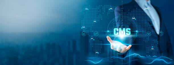 کارآفرین در حال استفاده از سیستم مدیریت محتوا (CMS) بر روی شبکهی جهانی فناوری