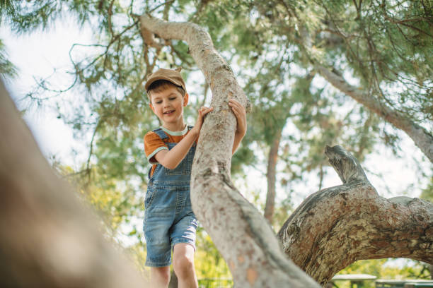 تجربه کاربری لذتبخش در طراحی سایت باربری