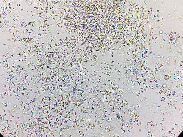 قیمت طراحی وبسایت و سیستم مدیریت یادگیری