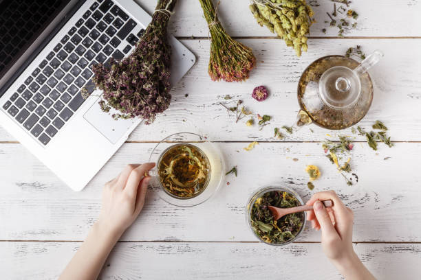 قیمت طراحی وبسایت برای صادرات گیاهان دارویی