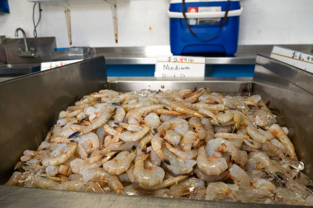 بهینهسازی زنجیره مالی شیلات بوشهر با نرم افزار حسابداری اختصاصی