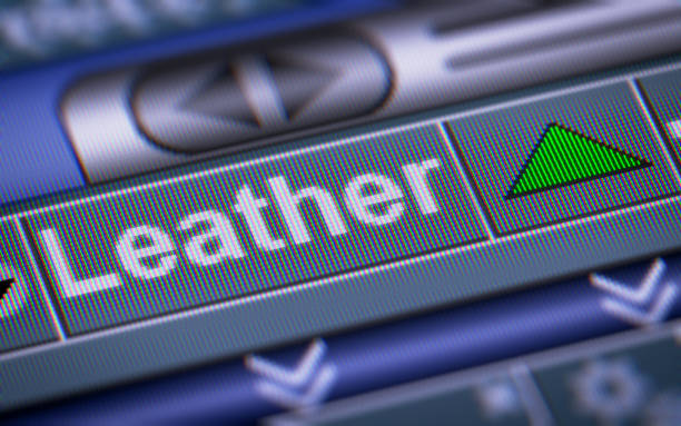 طراحی وبسایت فروشگاهی و پورتال نمایندگان برای چرم تبریز