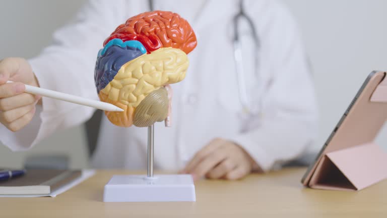 طراحی وبسایت کلینیک اطفال در شیراز