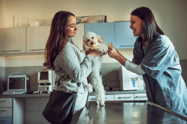 بهینه‌سازی رزرو دامپزشکی از طریق وبسایت و PWA