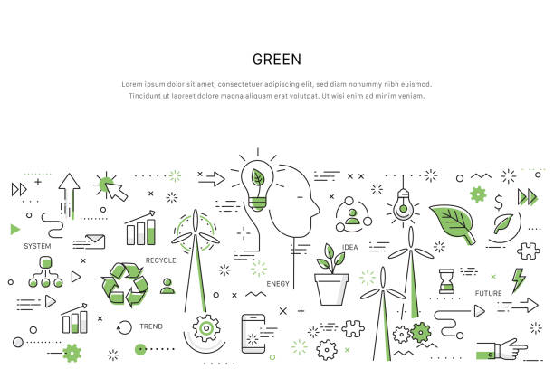 مراحل طراحی وبسایت فروشگاهی برای محصولات ارگانیک