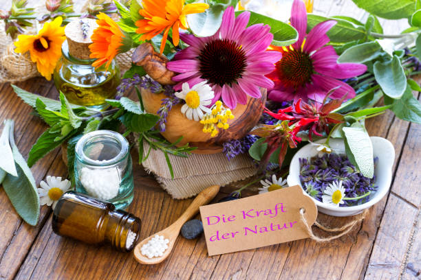 تضمین اصالت گیاهان دارویی دنا با فناوری بلاک‌چین و سئو بین‌المللی