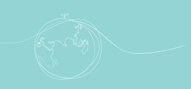 طراحی وبسایت فروشگاهی در تهران برای محصولات بومگردی