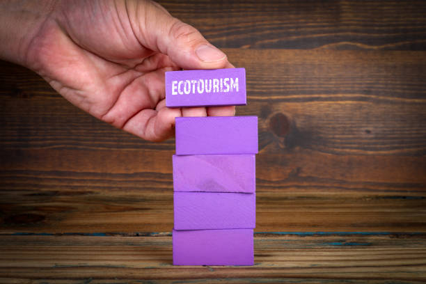 افزایش رزرو بومگردی با استراتژی سئو هتلهای سنتی