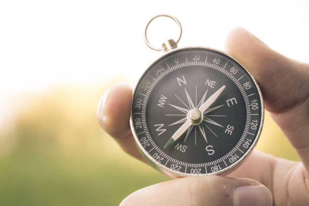 بازاریابی آنلاین تورهای ماجراجویانه با طراحی سایت حرفه ای