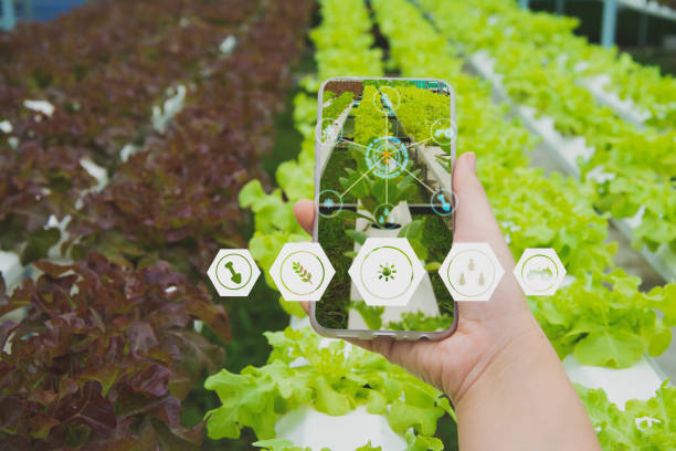 اپلیکیشن ردیابی برنج ارگانیک با بلاک چین