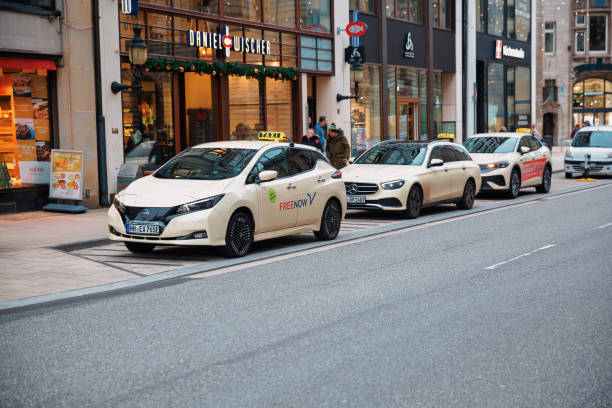 برندینگ مزارع پرورش شترمرغ با طراحی وبسایت در ایران