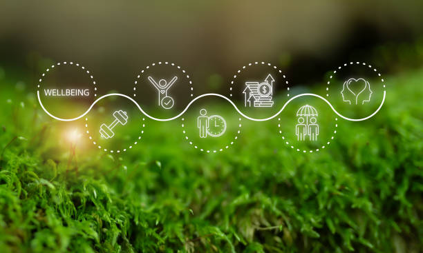 تجربه سفر شخصی و آرامش در اقامتگاه بوم‌گردی