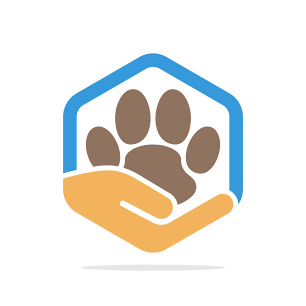 اتوماسیون مطب دامپزشکی و رضایت مشتری