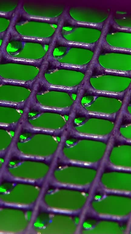 راهکارهای دیجیتال هتل و افزایش رضایت مهمانان