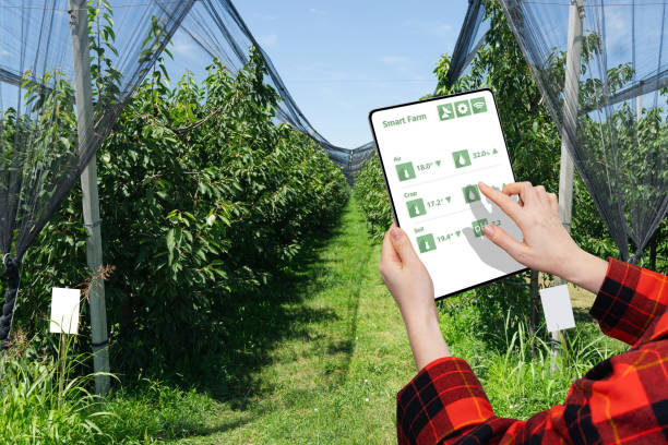 کسب و کار آنلاین باغبانی با استفاده از تکنولوژی نوین و اینترنت اشیاء