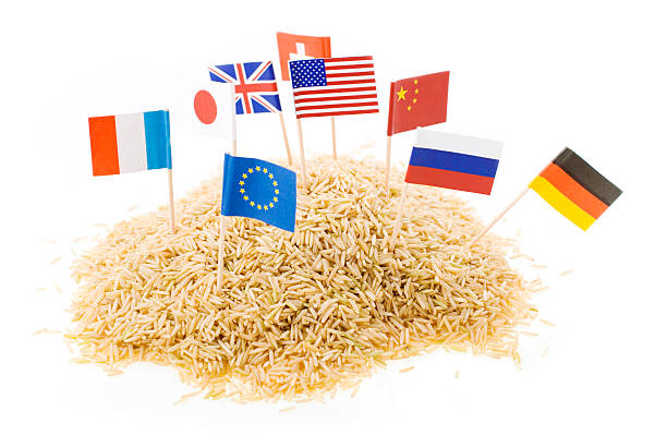 جهانیسازی و صادرات آجیل با برندینگ دیجیتال و سئو بینالمللی پینو سایت