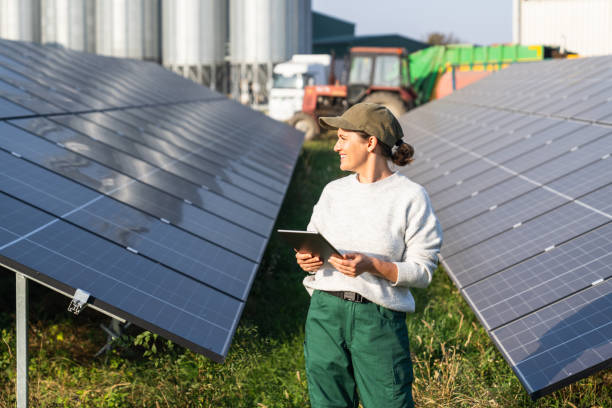 سئو و بازاریابی دیجیتال برای وبسایت گلخانه هوشمند