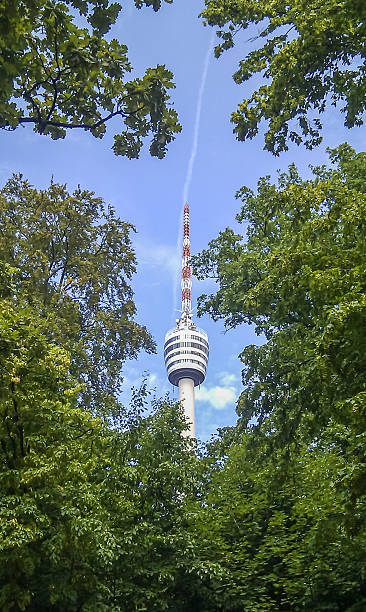 آینده خدمات گمرکی با طراحی پورتال مشتریان مدرن