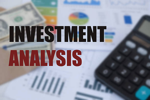 بازگشت سرمایه در دیجیتال مارکتینگ هتل و خدمات پینو سایت