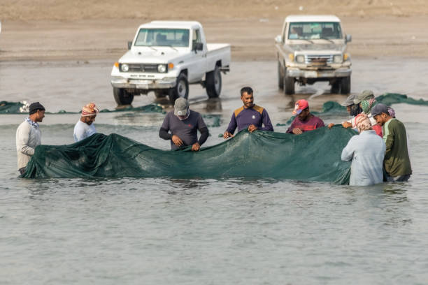 تجارت دریایی خلیج فارس و نقش برندینگ دیجیتال برای شرکت‌های بازرگانی
