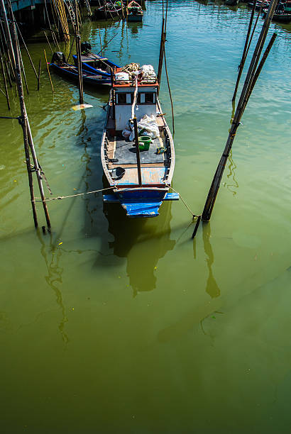 استراتژی طراحی سایت D2C برای مزارع پرورش ماهی در ساری