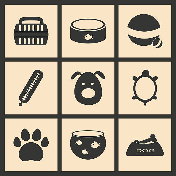 بهینه سازی سئو دامپزشکی با استفاده از داده‌های CRM