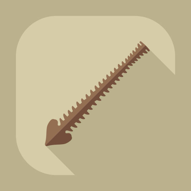 سئو فیزیوتراپی برای جذب بیمار در کرج