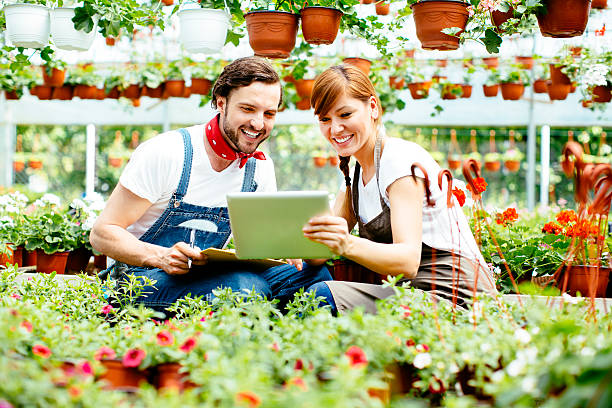 راه اندازی فروشگاه اینترنتی کشاورزی برای افزایش فروش محصولات گلخانه در سال 2025