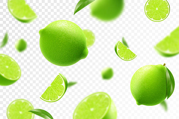 بازاریابی آنلاین مرکبات با تصاویر جذاب و پویا و خدمات پینو سایت