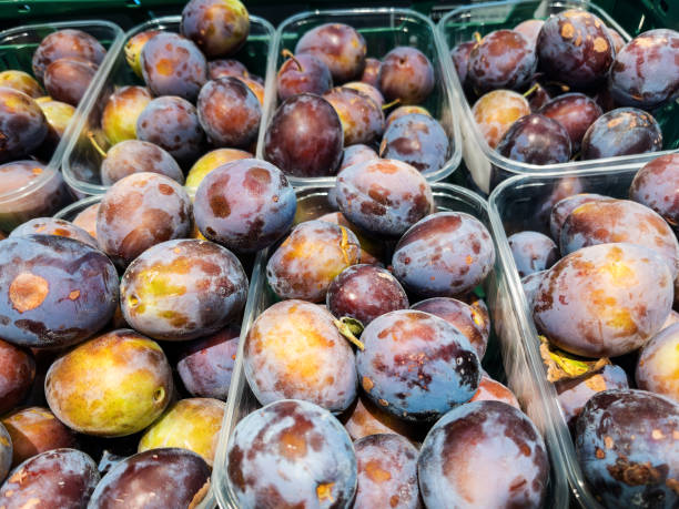 فروش آنلاین محصولات کشاورزی ارگانیک با تضمین اصالت