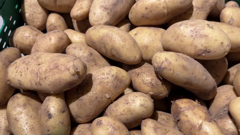 وبسایت فروشگاهی محصولات کشاورزی: راهکاری برای افزایش درآمد با پینو سایت