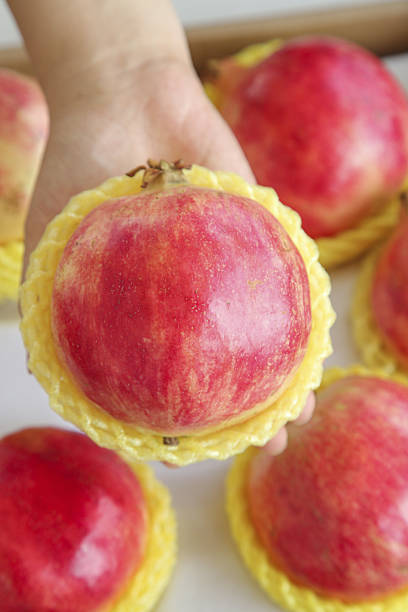 بسته بندی محصولات فرآوری انار برای بازارهای جهانی