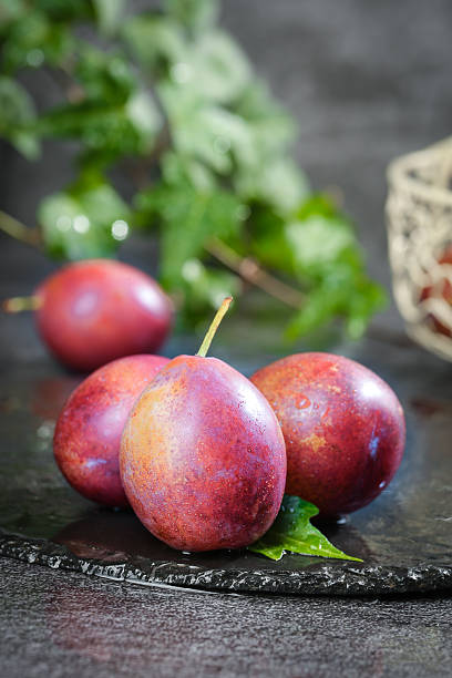 صادرات خشکبار خراسان با طراحی سایت D2C و سئو بینالمللی