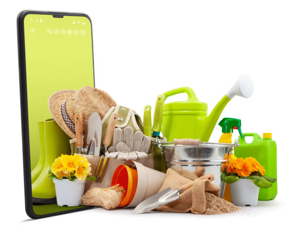 طراحی وبسایت فروشگاهی برای فروش بذر و کود و نهاده های کشاورزی