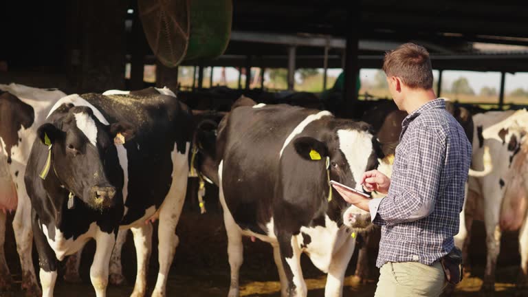 فروش آنلاین محصولات کشاورزی ارگانیک