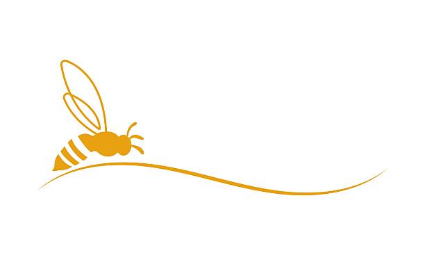 برندینگ دیجیتال عسل طبیعی زاگرس با طراحی لوگو حرفهای