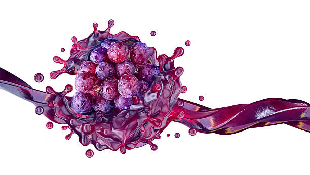 توسعه بازارهای صادراتی با استراتژی سئو پیشرفته برای محصولات کشاورزی