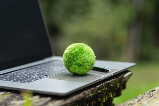 تحلیل داده‌ها برای رشد پایدار برند آنلاین پوشاک