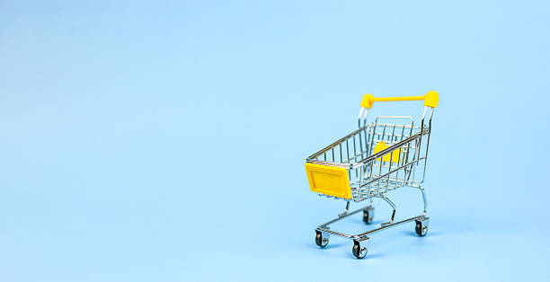 سبد خرید هوشمند در وبسایت فروشگاهی گل و گیاه D2C پینو سایت