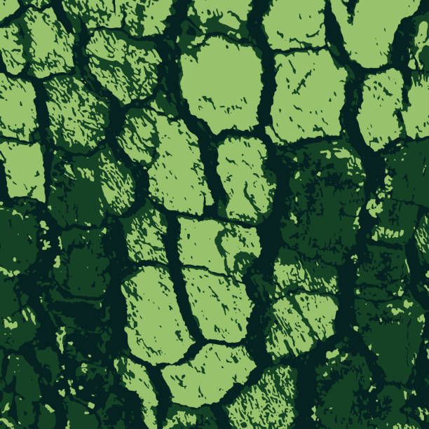 برندینگ آنلاین محصولات چرمی با استراتژی محتوای ویدئویی