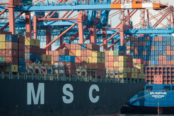 سئو بینالمللی برای شرکتهای حملونقل در بندرعباس