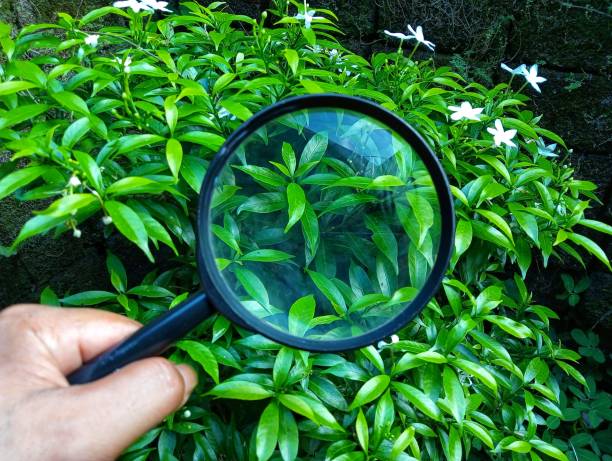 بهینه سازی سایت کشاورزی برای جذب سرمایه گذار آنلاین و روندهای 2026