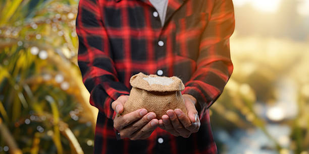 پلتفرم فروش مستقیم پسته برای افزایش سود باغداران مرودشت