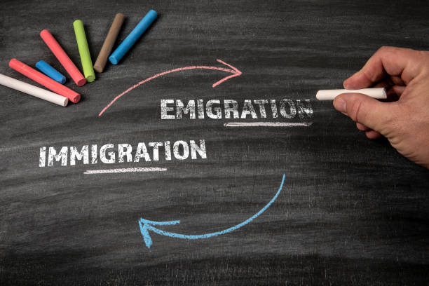 مشاوره مهاجرت و بازاریابی برای دفاتر مهاجرتی در شیراز