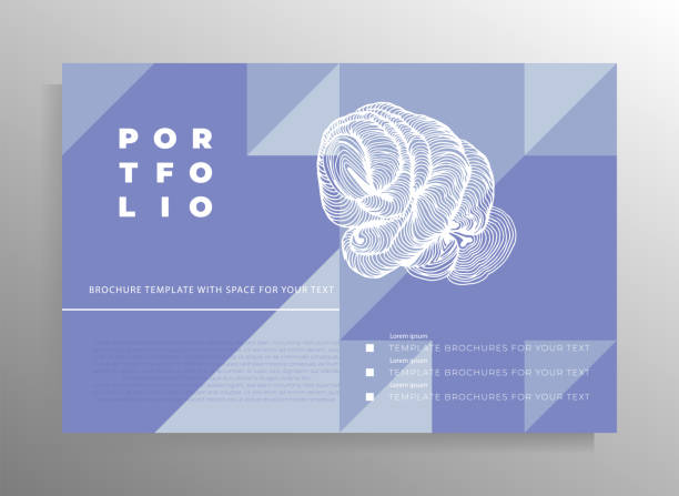 طراحی وبسایت فروشگاهی برای فروش پکیجهای خدمات طراحی لوگو