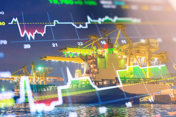 مدیریت مالی فرآوری میگو و چالشهای لجستیک