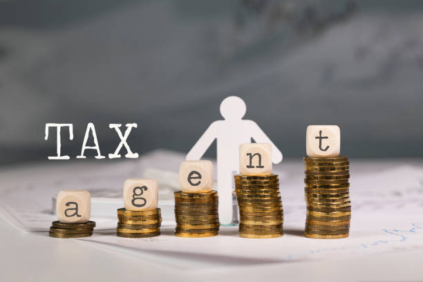 محتوای حقوقی مالیاتی برای سئو شرکتهای مالیاتی