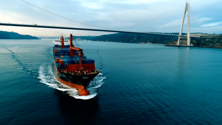 تجارت با ترکیه از طریق طراحی وبسایت و سئو دوزبانه