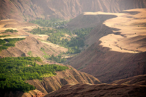 کشف طبیعت زاگرس با استراتژی دیجیتال مارکتینگ گردشگری