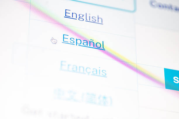 طراحی وبسایت دوزبانه برای جذب متقاضی مهاجرت به کانادا